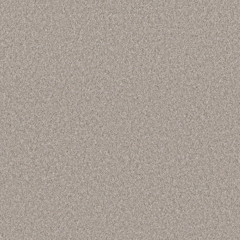 Great Greige Carpet